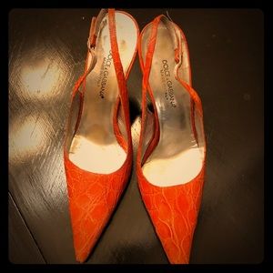 Orange Dolce & Gabbana sling back sexxi shoe!